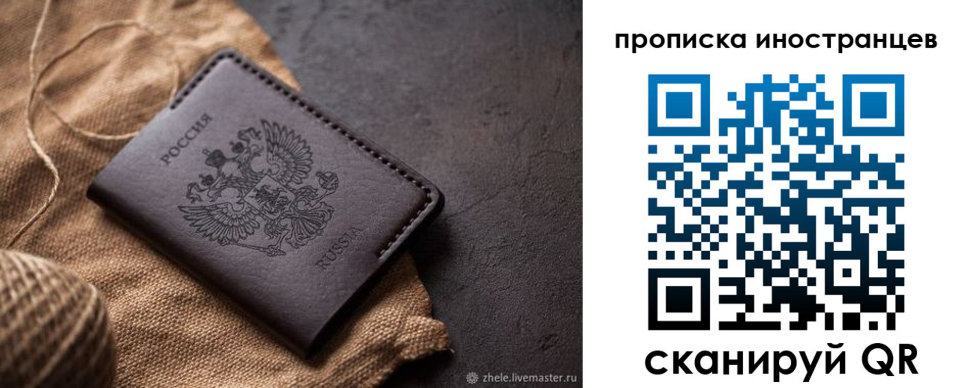прописка поиск в Новозыбкове